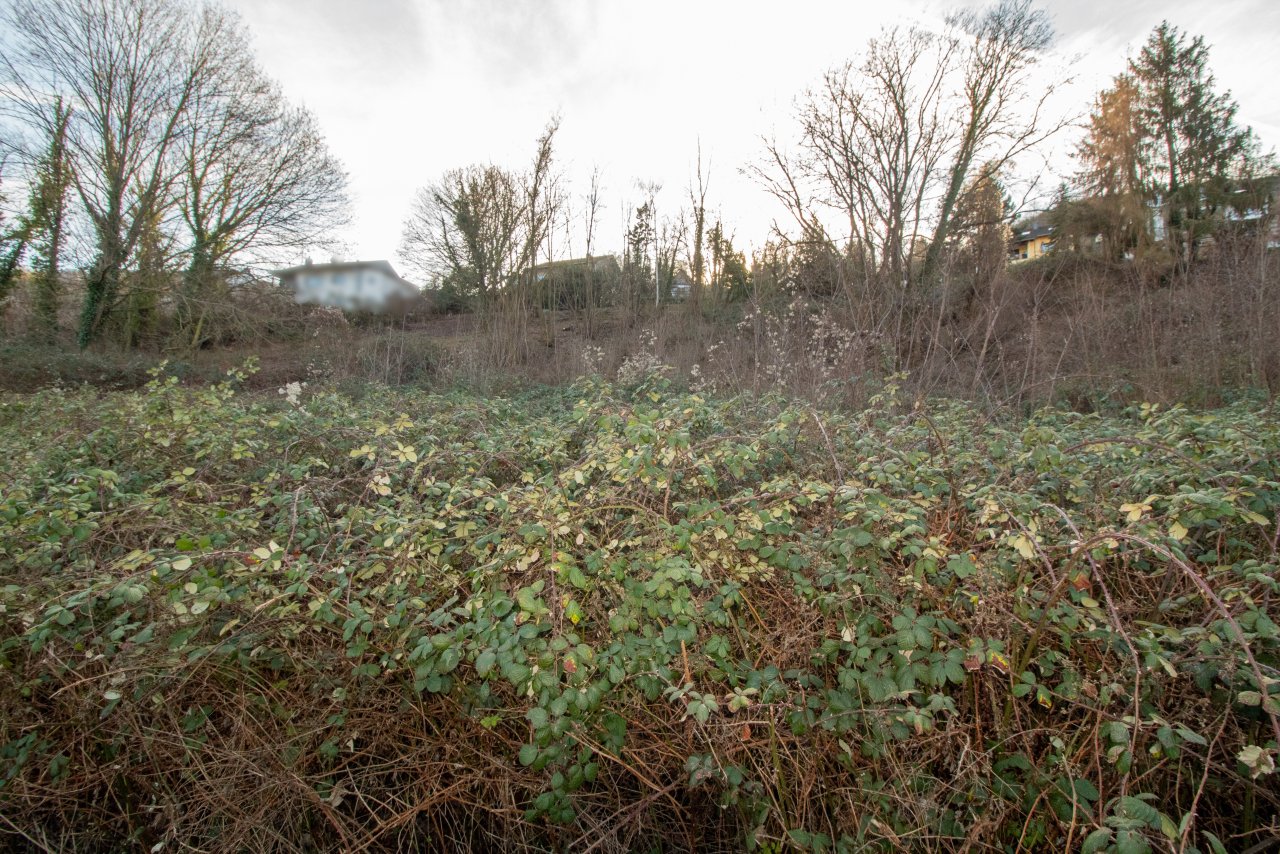 Baugrundstück mit Rheinblick! Optimal für Mehrfamilienhäuser!