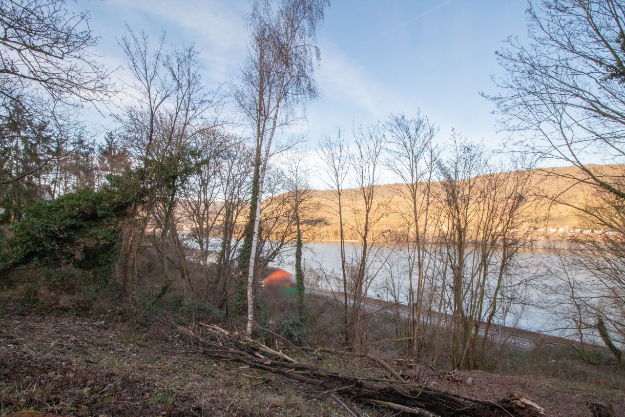 Baugrundstück mit Rheinblick! Optimal für Mehrfamilienhäuser!