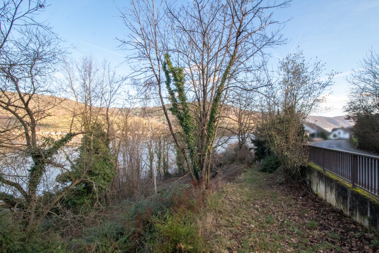 Baugrundstück mit Rheinblick! Optimal für Mehrfamilienhäuser!