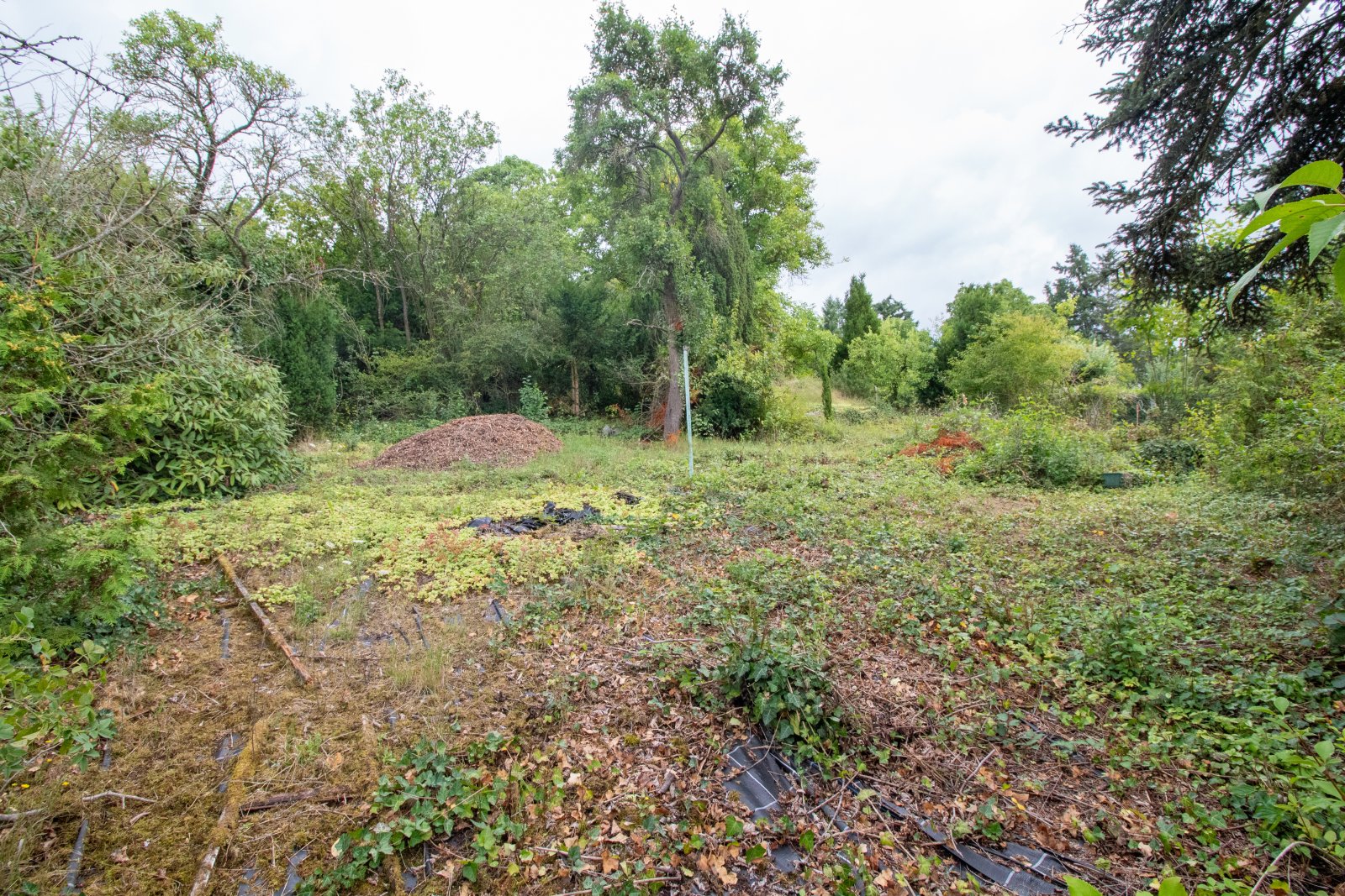 Baugrundstück in Top Lage von Mayen!