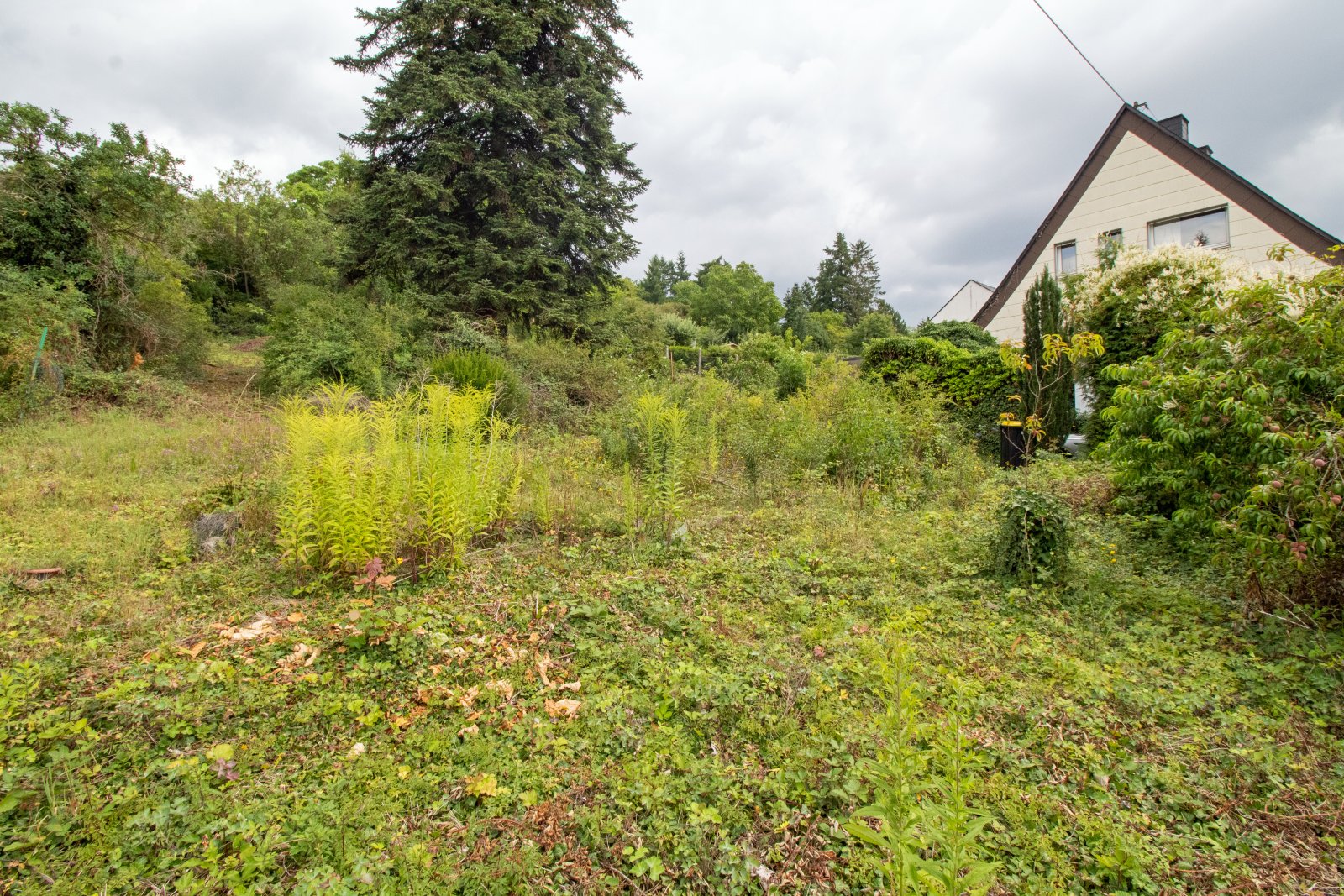 Baugrundstück in Top Lage von Mayen!