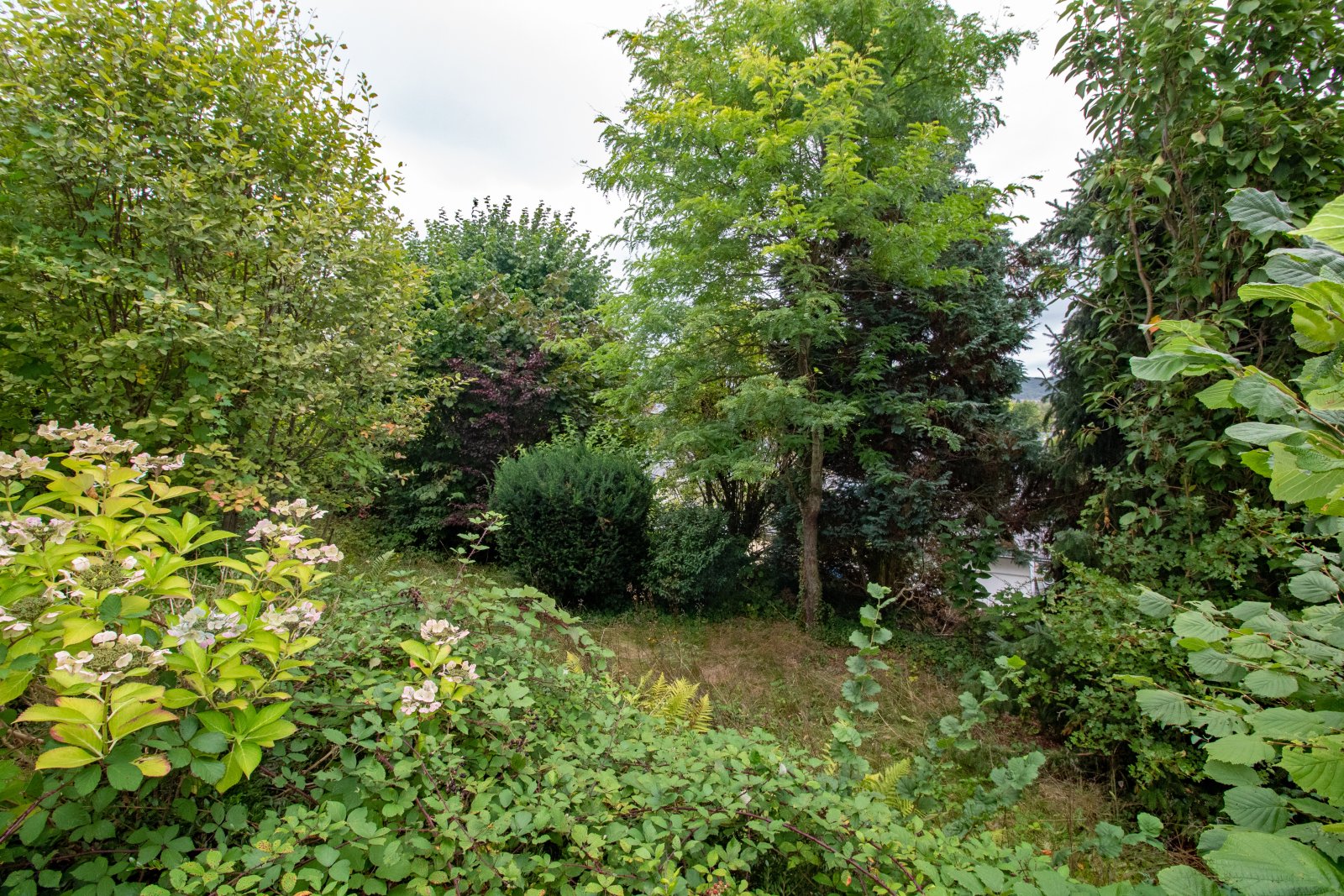 Garten Garten