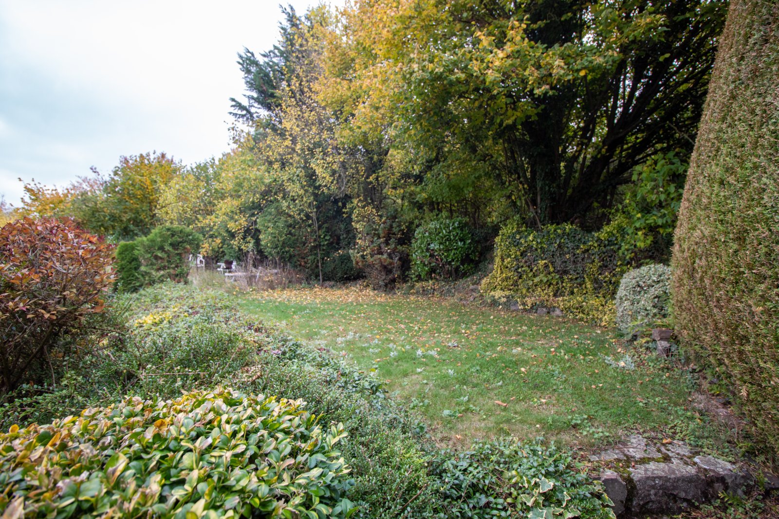 Garten Garten