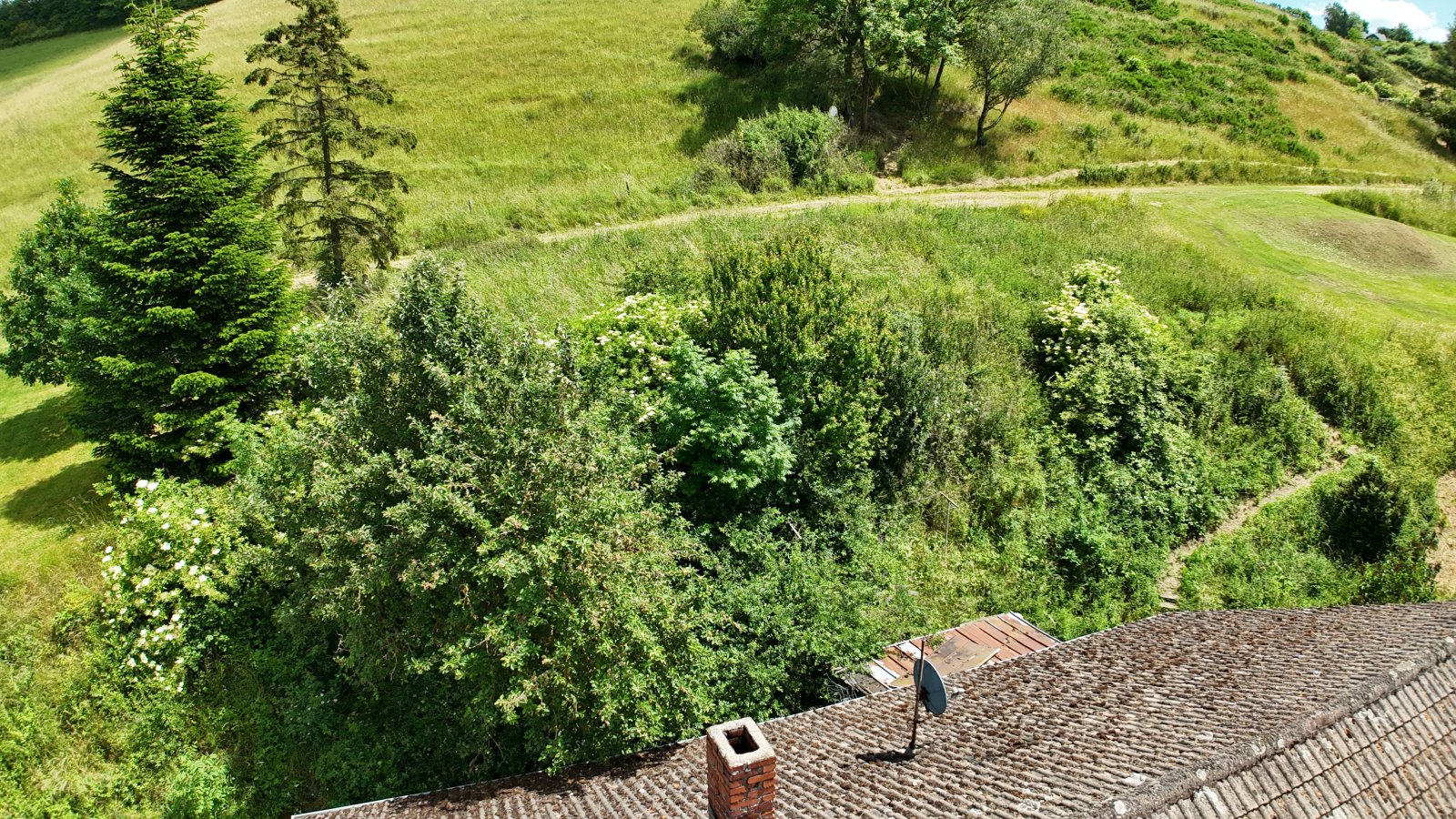 Wiese hinter dem Haus